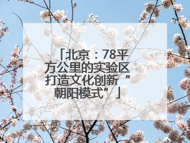 北京：78平方公里的实验区打造文化创新“朝阳模式”