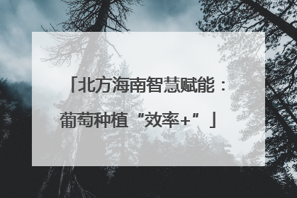 北方海南智慧赋能：葡萄种植“效率+”
