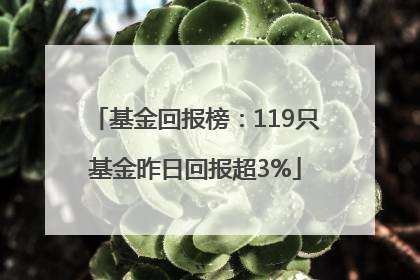 基金回报榜：119只基金昨日回报超3%
