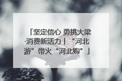 坚定信心 勇挑大梁·消费新活力丨“河北游”带火“河北购”
