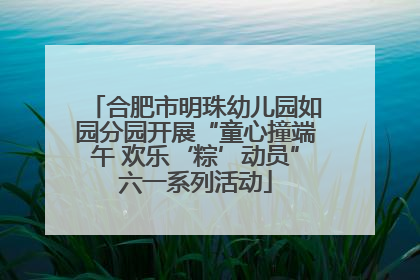 合肥市明珠幼儿园如园分园开展“童心撞端午 欢乐‘粽’动员”六一系列活动