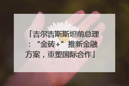 吉尔吉斯斯坦前总理：“金砖+”推新金融方案，重塑国际合作