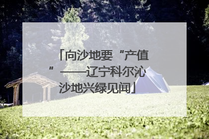 向沙地要“产值”——辽宁科尔沁沙地兴绿见闻