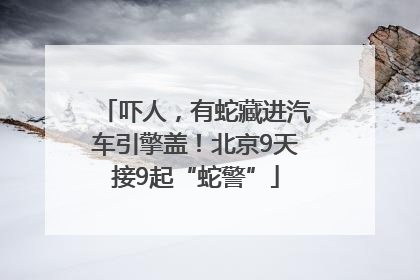 吓人，有蛇藏进汽车引擎盖！北京9天接9起“蛇警”