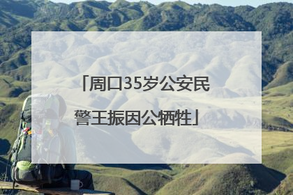 周口35岁公安民警王振因公牺牲