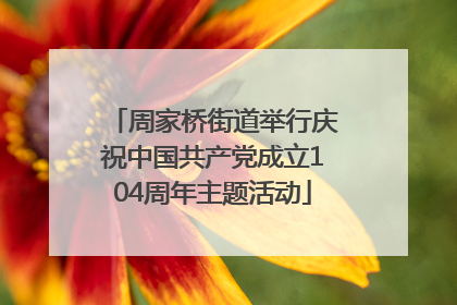 周家桥街道举行庆祝中国共产党成立104周年主题活动