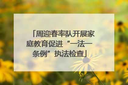 周迎春率队开展家庭教育促进“一法一条例”执法检查