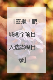 喜报！肥城两个项目入选省级目录