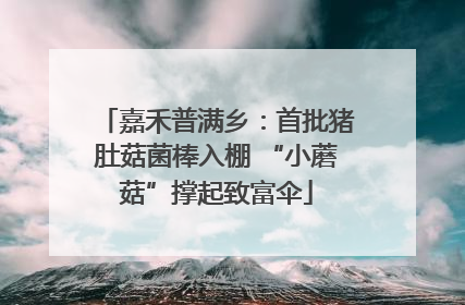 嘉禾普满乡：首批猪肚菇菌棒入棚 “小蘑菇”撑起致富伞