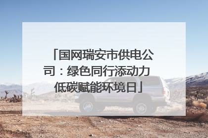 国网瑞安市供电公司：绿色同行添动力 低碳赋能环境日