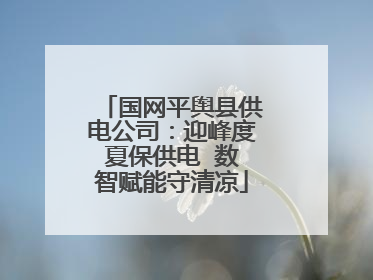 国网平舆县供电公司：迎峰度夏保供电  数智赋能守清凉
