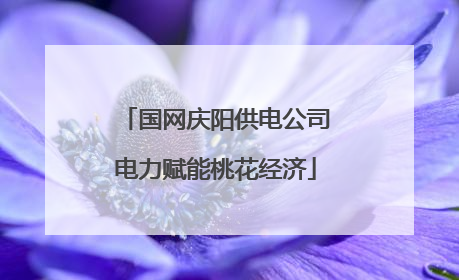国网庆阳供电公司电力赋能桃花经济