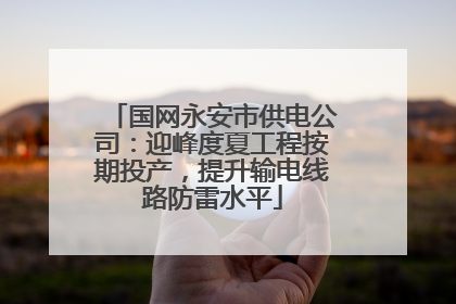 国网永安市供电公司：迎峰度夏工程按期投产，提升输电线路防雷水平