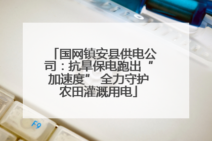 国网镇安县供电公司：抗旱保电跑出“加速度” 全力守护农田灌溉用电