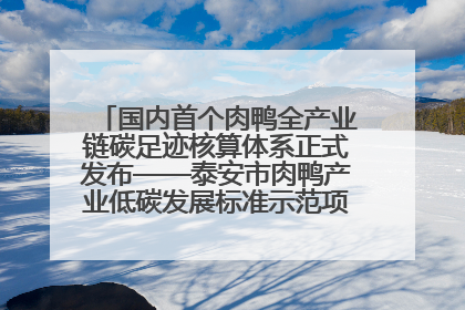 国内首个肉鸭全产业链碳足迹核算体系正式发布——泰安市肉鸭产业低碳发展标准示范项目顺利通过验收