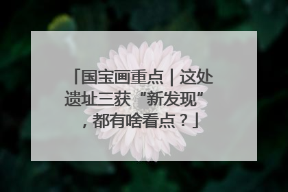 国宝画重点｜这处遗址三获“新发现”，都有啥看点？