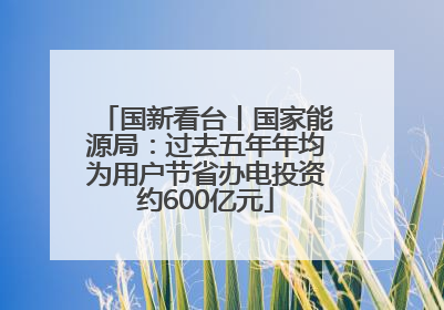国新看台丨国家能源局：过去五年年均为用户节省办电投资约600亿元