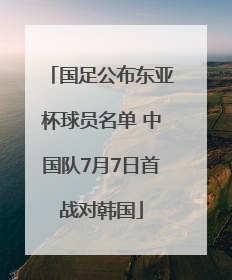 国足公布东亚杯球员名单 中国队7月7日首战对韩国