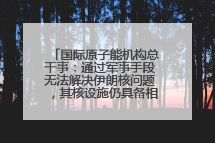 国际原子能机构总干事：通过军事手段无法解决伊朗核问题，其核设施仍具备相关产能，只需要数月就能生产出浓缩铀