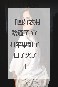 四好农村路通了 宜君苹果甜了 日子火了