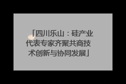 四川乐山：硅产业代表专家齐聚共商技术创新与协同发展