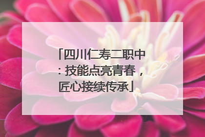 四川仁寿二职中：技能点亮青春，匠心接续传承