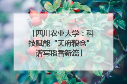 四川农业大学：科技赋能“天府粮仓”谱写稻香新篇