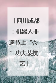四川成都：机器人非遗节上“秀”功夫茶技艺