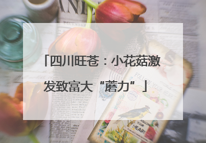 四川旺苍：小花菇激发致富大“蘑力”