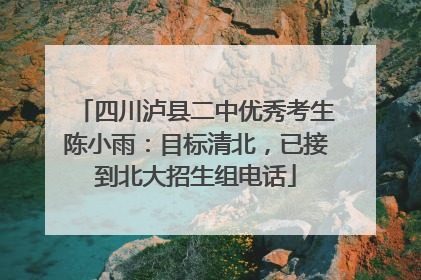 四川泸县二中优秀考生陈小雨：目标清北，已接到北大招生组电话