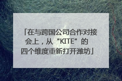 在与跨国公司合作对接会上，从“KITE”的四个维度重新打开潍坊