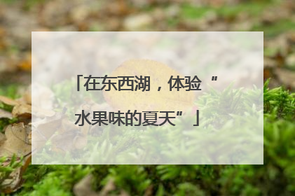 在东西湖，体验“水果味的夏天”