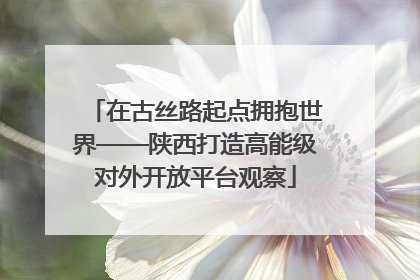 在古丝路起点拥抱世界——陕西打造高能级对外开放平台观察
