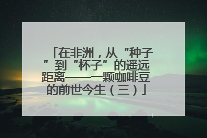 在非洲，从“种子”到“杯子”的遥远距离——一颗咖啡豆的前世今生（三）