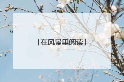 在风景里阅读