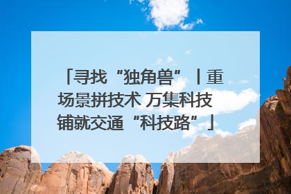 寻找“独角兽”丨重场景拼技术 万集科技铺就交通“科技路”