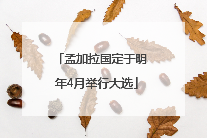 孟加拉国定于明年4月举行大选