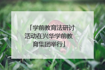 学前教育法研讨活动在兴华学前教育集团举行