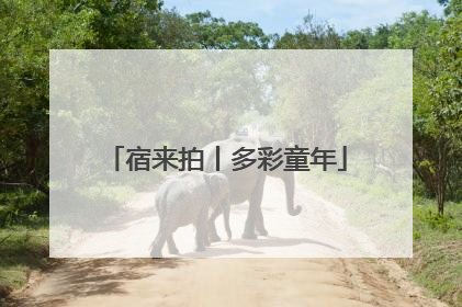 宿来拍丨多彩童年