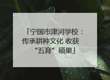 宁国市津河学校：传承耕种文化 收获“五育”硕果