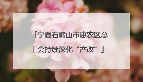 宁夏石嘴山市惠农区总工会持续深化“产改”