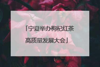 宁夏举办枸杞红茶高质量发展大会