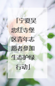 宁夏吴忠红寺堡区青年志愿者参加生态护绿行动
