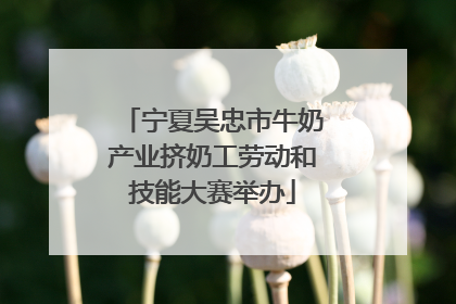 宁夏吴忠市牛奶产业挤奶工劳动和技能大赛举办
