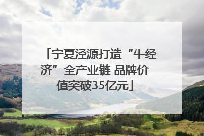 宁夏泾源打造“牛经济”全产业链 品牌价值突破35亿元
