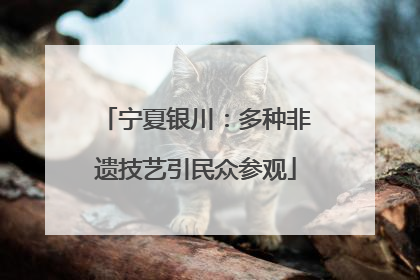 宁夏银川：多种非遗技艺引民众参观