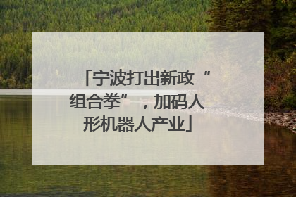 宁波打出新政“组合拳”，加码人形机器人产业