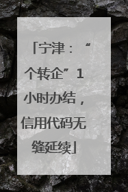 宁津：“个转企”1小时办结，信用代码无缝延续