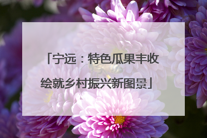宁远：特色瓜果丰收绘就乡村振兴新图景