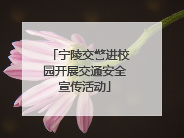 宁陵交警进校园开展交通安全宣传活动